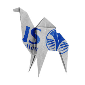 origami chicken from paper on white background